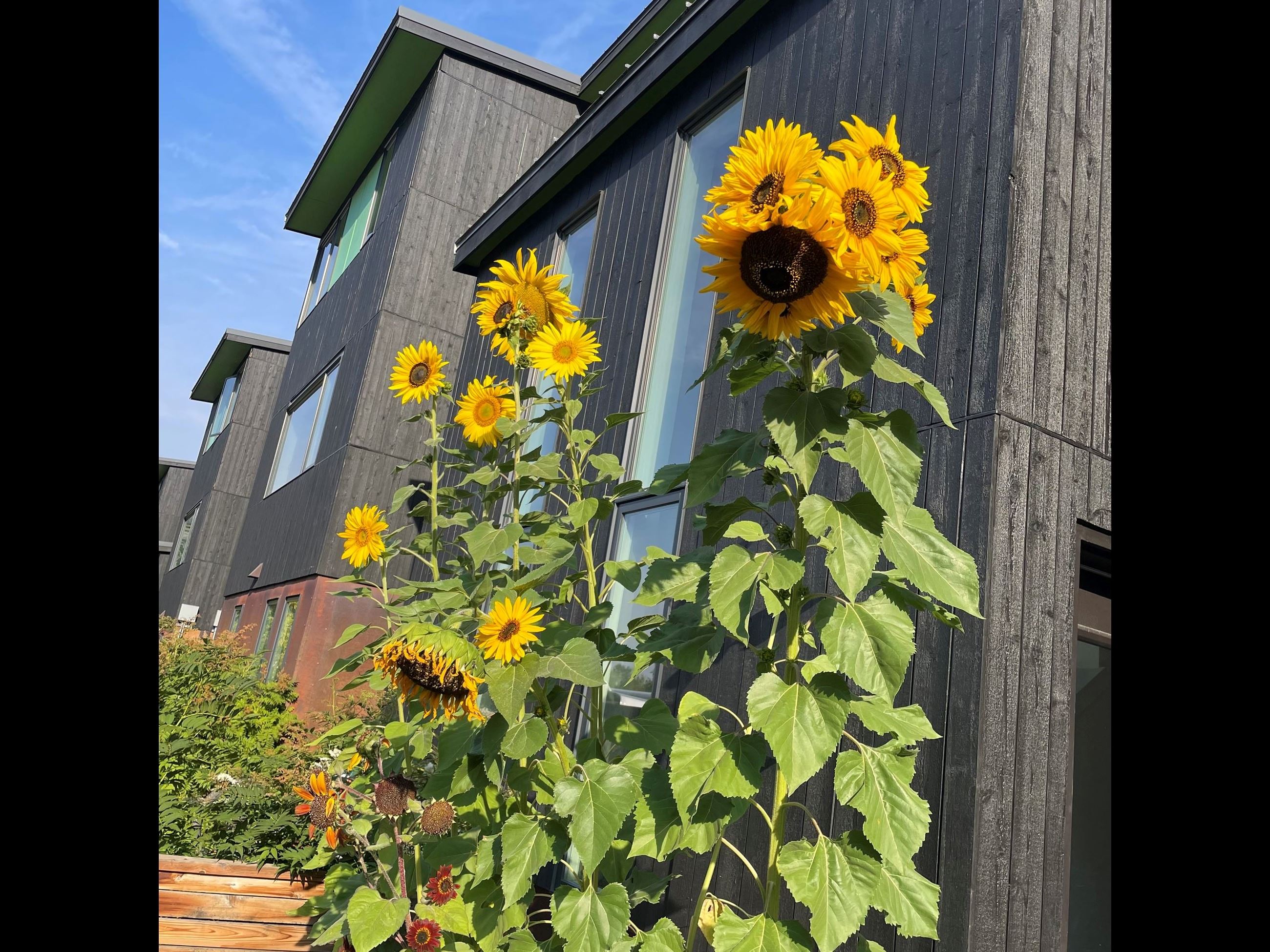 08 - Exterior 08 - Exterior